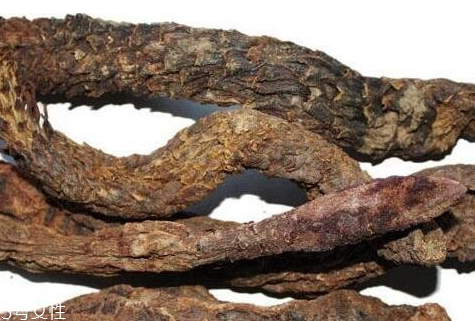 肉蓯蓉什么顏色的好 肉蓯蓉一般呈現(xiàn)黑色 肉蓯蓉什么顏色的好 肉蓯蓉一般呈現(xiàn)黑色