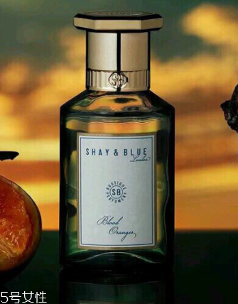 柑橘香的香水哪個最好？夏日清甜香水味