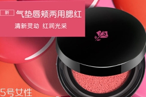 2018氣墊腮紅哪個(gè)牌子好？