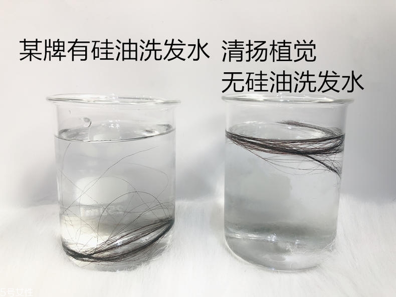清揚0硅油洗發(fā)水好用嗎？自帶高級感香調(diào)
