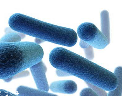 蝦青素是怎么提取的？過程很復(fù)雜