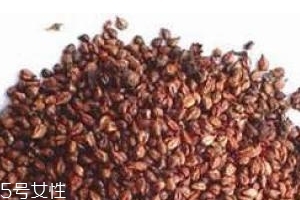 葡萄籽是飯前吃還是飯后吃？最全吃法