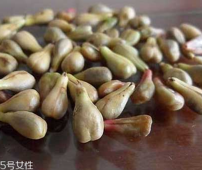 葡萄籽是寒性的嗎？屬于寒性