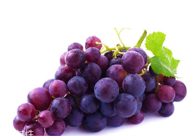 葡萄籽是維生素e嗎？并不是維生素e