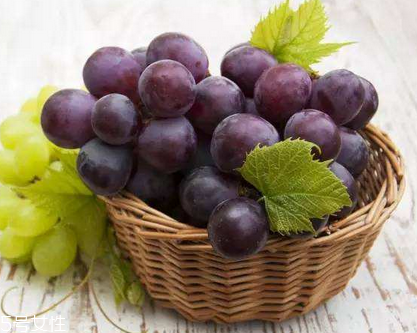 葡萄籽是維生素e嗎？并不是維生素e