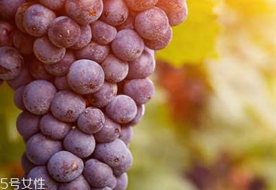 葡萄籽是什么味道？有點澀澀的