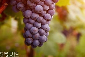 葡萄籽會(huì)影響月經(jīng)嗎？吃法正確就不會(huì)