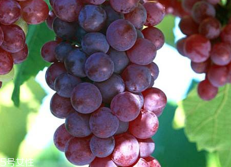 葡萄籽會(huì)影響月經(jīng)嗎？吃法正確就不會(huì)