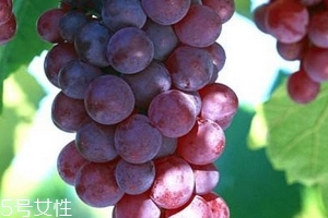 葡萄籽會推遲月經(jīng)嗎？一般不會