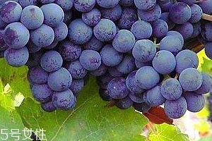 葡萄籽會長痘嗎？沒有這個情況