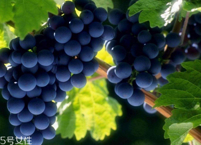 葡萄籽會長痘嗎？沒有這個情況