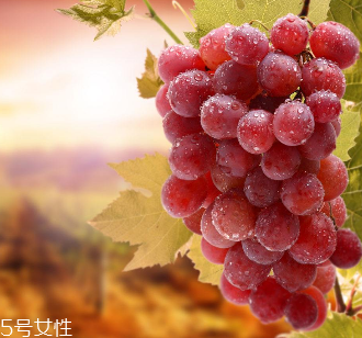 葡萄籽會(huì)影響睡眠嗎？這個(gè)肯定不會(huì)