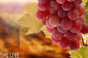 葡萄籽會(huì)便秘嗎？葡萄籽能緩解便秘