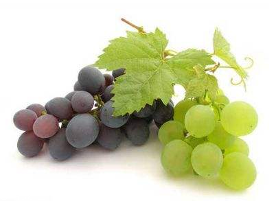 葡萄籽好還是膠原蛋白好？各有千秋