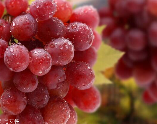 葡萄籽能和感冒藥一起吃嗎？