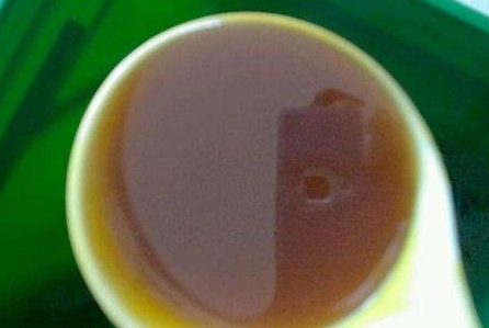 黑蜂蜜好嗎 口感濃烈獨特 黑蜂蜜好嗎 口感濃烈獨特