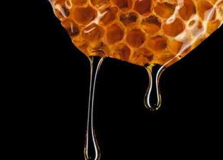 黑蜂蜜好嗎 口感濃烈獨特 黑蜂蜜好嗎 口感濃烈獨特