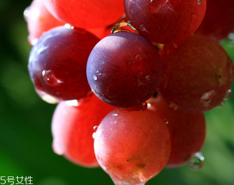 葡萄籽可以空腹吃嗎？要分情況