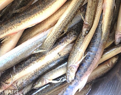 吃泥鰍的禁忌 愛(ài)吃泥鰍的要牢記