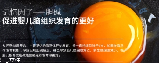 黃金素和dha可以一起吃嗎？