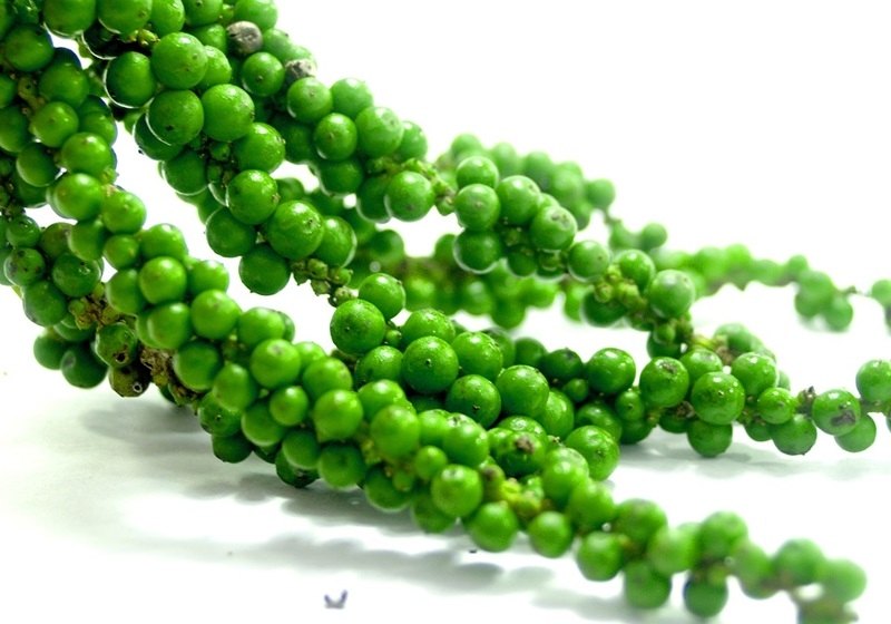 胡椒怎么用 各品種胡椒使用方法 胡椒怎么用 各品種胡椒使用方法