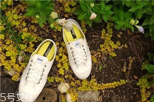 novesta可以在哪里買？來自中歐的手工品牌