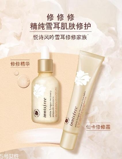 悅詩風吟雪耳系列怎么樣 韓國熱門護膚品牌 悅詩風吟雪耳系列怎么樣 韓國熱門護膚品牌