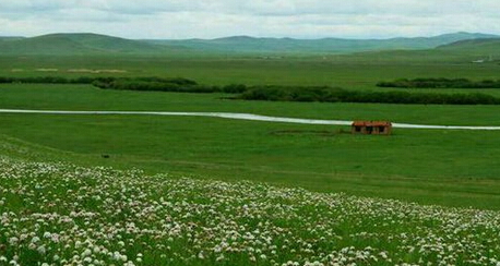 郁美凈和青蛙王子哪個(gè)好？