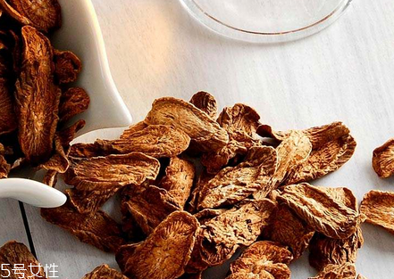 牛蒡茶是熱性還是涼性？牛蒡茶的屬性