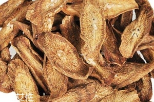 牛蒡茶是什么做的？牛蒡茶是樹(shù)根嗎？