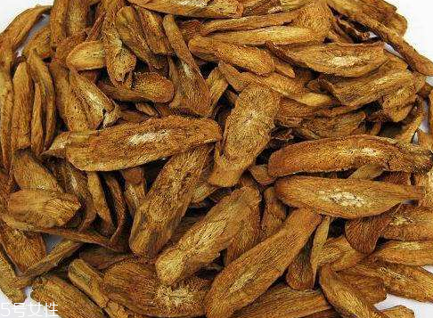 牛蒡茶是什么味道？牛蒡茶味道好嗎