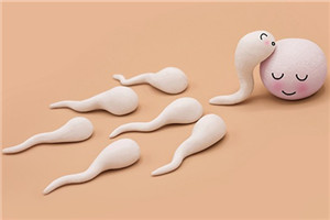 性生活越多越好嗎 性生活次數(shù)多了好不好