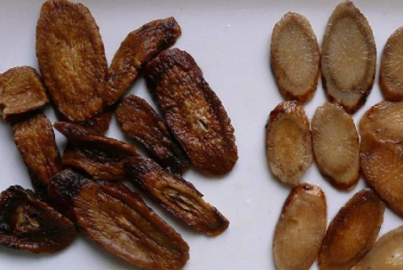 牛蒡茶和枸杞一起泡水喝嗎？