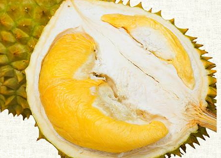 越南榴蓮多少錢一斤 越南榴蓮與泰國(guó)榴蓮的區(qū)別 越南榴蓮多少錢一斤 越南榴蓮與泰國(guó)榴蓮的區(qū)別