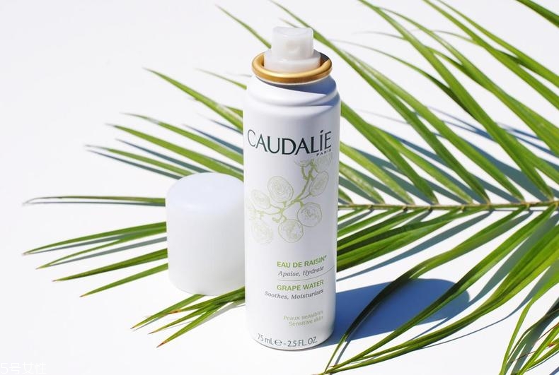 干皮適用的潔面產(chǎn)品 干皮清潔的注意要點 干皮適用的潔面產(chǎn)品 干皮清潔的注意要點