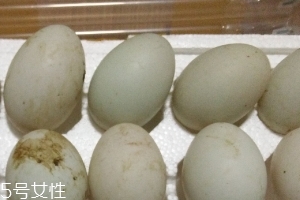 鴨蛋是酸性還是堿性？鴨蛋的性質(zhì)