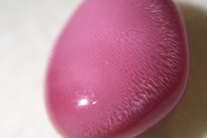 海螺珍珠價(jià)格多少錢一顆？海螺珍珠市場(chǎng)行情