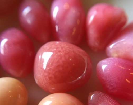 海螺珍珠價(jià)格多少錢一顆？海螺珍珠市場(chǎng)行情