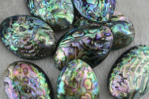 鮑魚珍珠多少錢一顆？鮑魚珍珠市場(chǎng)價(jià)值