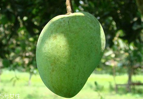 澳芒產(chǎn)地在哪里 澳芒的特點(diǎn) 澳芒產(chǎn)地在哪里 澳芒的特點(diǎn)