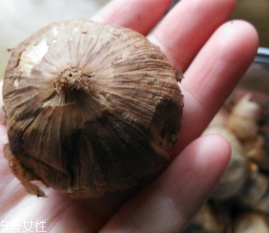 黑蒜的價(jià)格多少錢(qián)一斤？黑蒜很貴嗎？