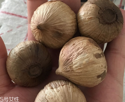 黑蒜怎么吃？黑蒜最好吃的吃法