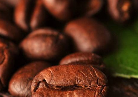 咖啡豆多少錢(qián)一斤 咖啡豆最新價(jià)格行情