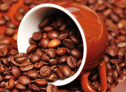 咖啡豆多少錢(qián)一斤 咖啡豆最新價(jià)格行情