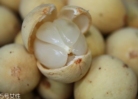 杜古是什么水果 杜古果營養(yǎng)價值 杜古是什么水果 杜古果營養(yǎng)價值