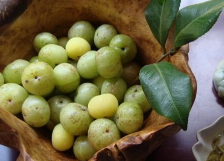 余甘果什么時(shí)候成熟 余甘果的成熟時(shí)間 余甘果什么時(shí)候成熟 余甘果的成熟時(shí)間