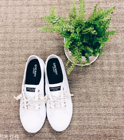 sperry鞋碼偏大嗎？sperry鞋碼選購標準