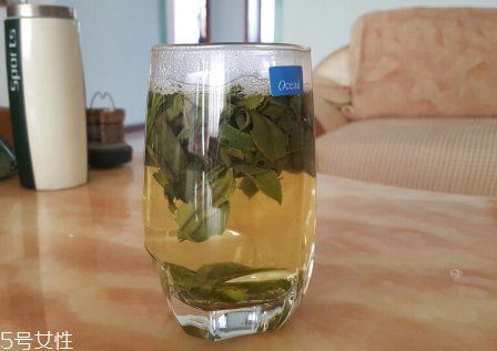 六安瓜片是什么茶？六安瓜片好喝嗎？