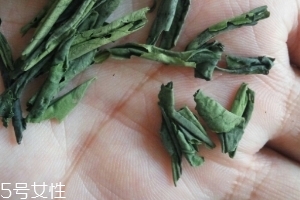 六安瓜片是紅茶還是綠茶？