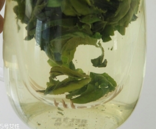 六安瓜片是紅茶還是綠茶？